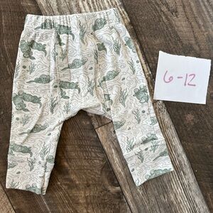 Kate Quinn Green Otters Panda Pants